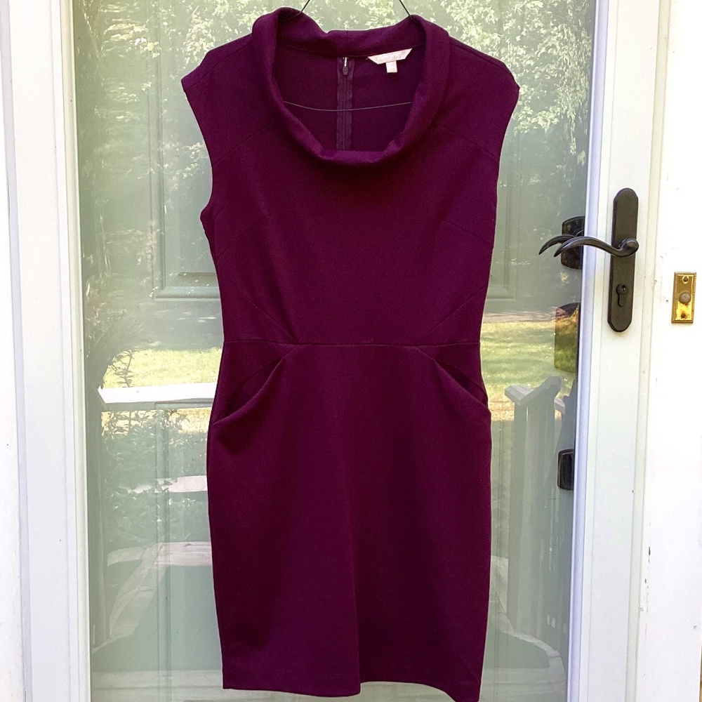 Banana Republic Dress, size 10, cranberry